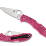 Delica